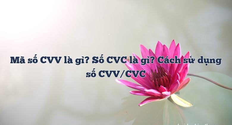 Mã bảo mật CVV/CVC là gì?